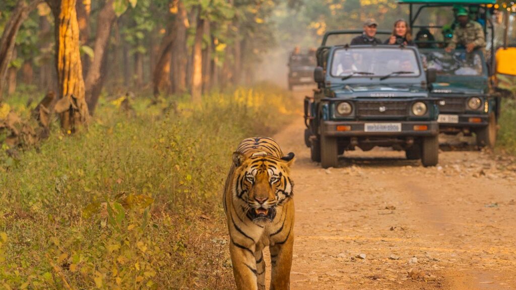 dandeli national park