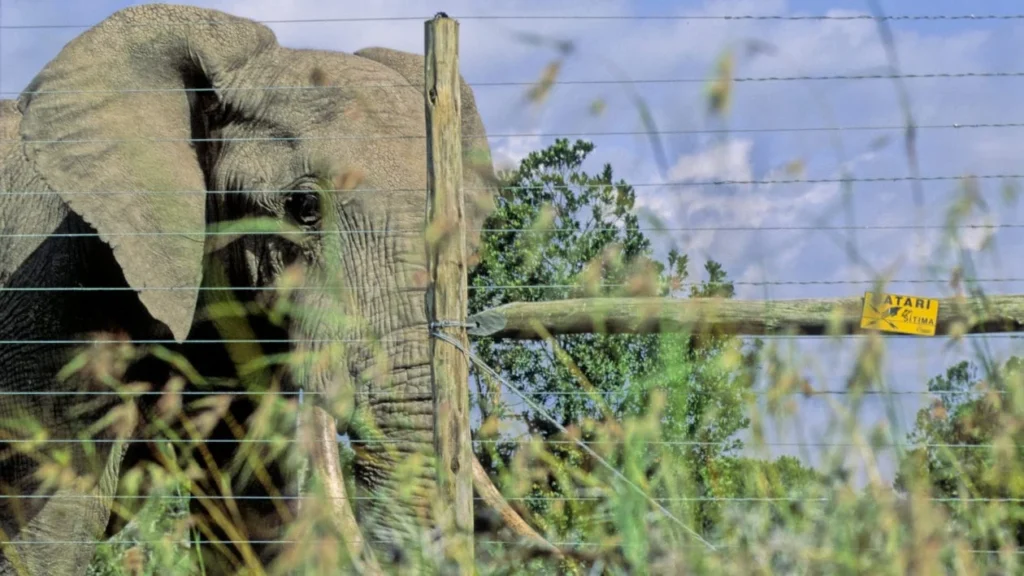 installation of wildlife fencing