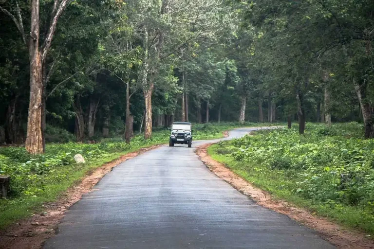 road of nagarhole